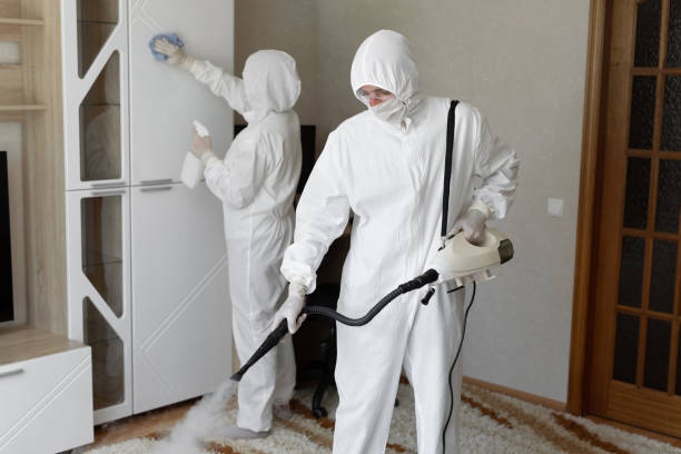 Best Affordable Mold Removal  in Ashley, OH